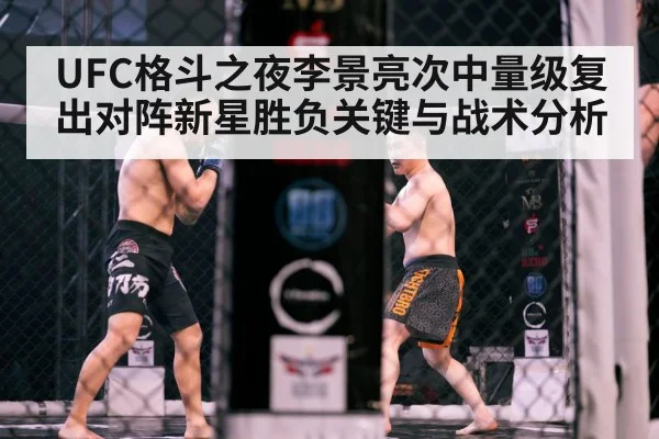 MMA octagon fight